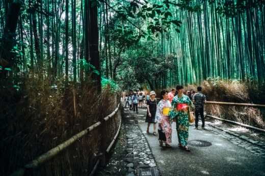 bamboo trees bridge city 115603 520x347 - La science derrière le secret des centenaires de l’île d’Okinawa au Japon